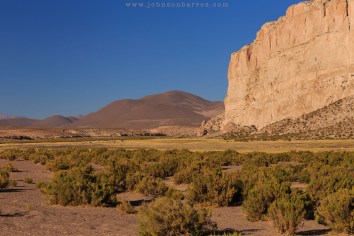 Encontramos vida no deserto
