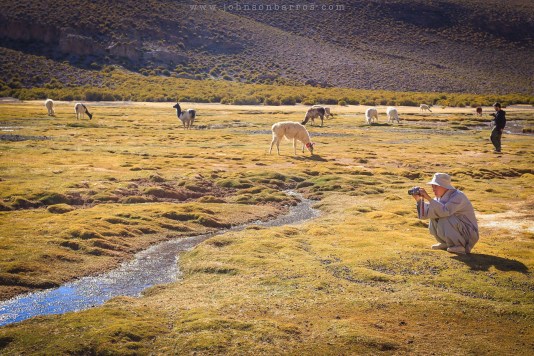 Estância Chackha e suas lhamas