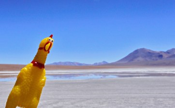 A água tá salgada de mais para dar uma canja.