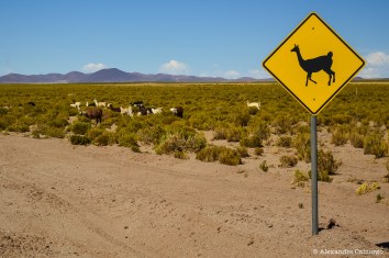 Cuidado com quem atravessa.