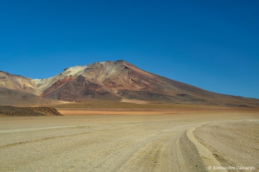 As cores povoam o deserto.